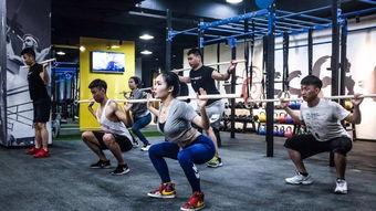 最近健身房爆料视频大全,揭秘健身圈幕后真相与趣事  第1张