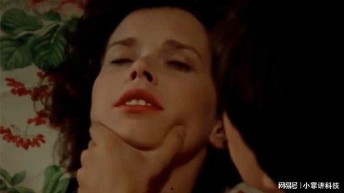 偷窥课程在线观看,偷窥课程在线观看背后的秘密与警示  第3张