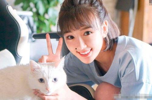 毛晓彤娱乐圈爆料,揭秘明星背后的真实故事 第3张 毛晓彤娱乐圈爆料,揭秘明星背后的真实故事 第3张