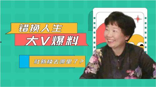 错换人28最新爆料,揭秘真相背后的惊人内幕 第2张 错换人28最新爆料,揭秘真相背后的惊人内幕 第2张